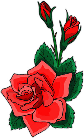 270x443 Red Roses Clipart Free Download Clip Art