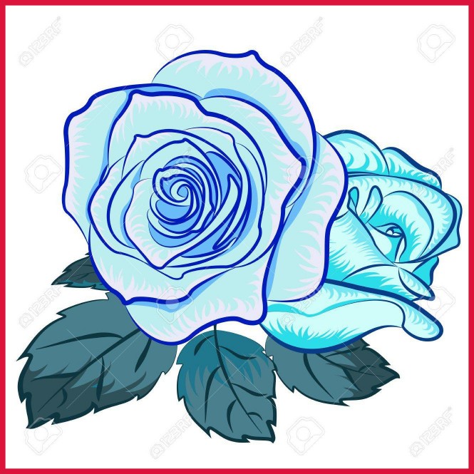 665x665 Stunning Vector Illustration Of Rose Flower Clip Art Royalty Pics