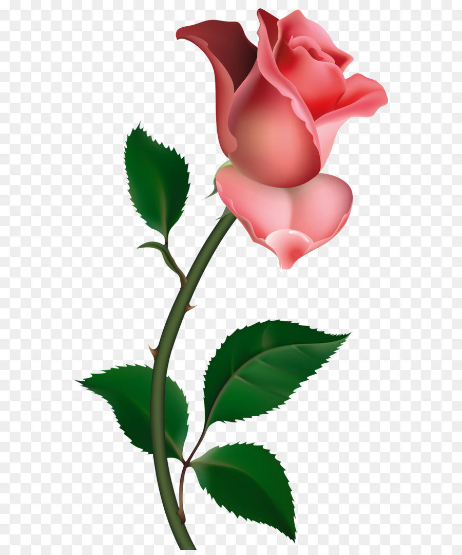 900x1080 Rose Bud Clip Art