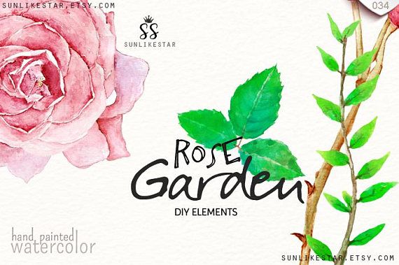 570x379 Rose Garden Diy Elements Watercolor Flowers Clipart Rose