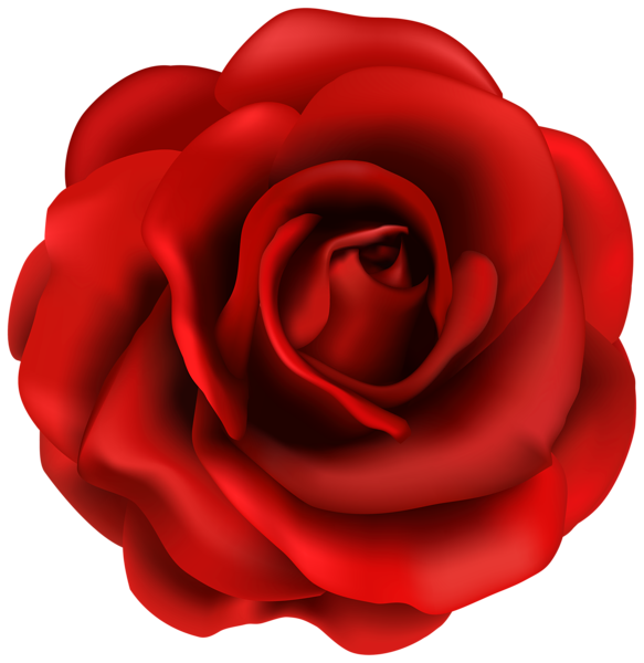 583x600 Creative Idea Red Rose Clipart Flower Png Image Line Art Doodle