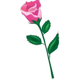 300x300 Petal Clipart Rose Stem