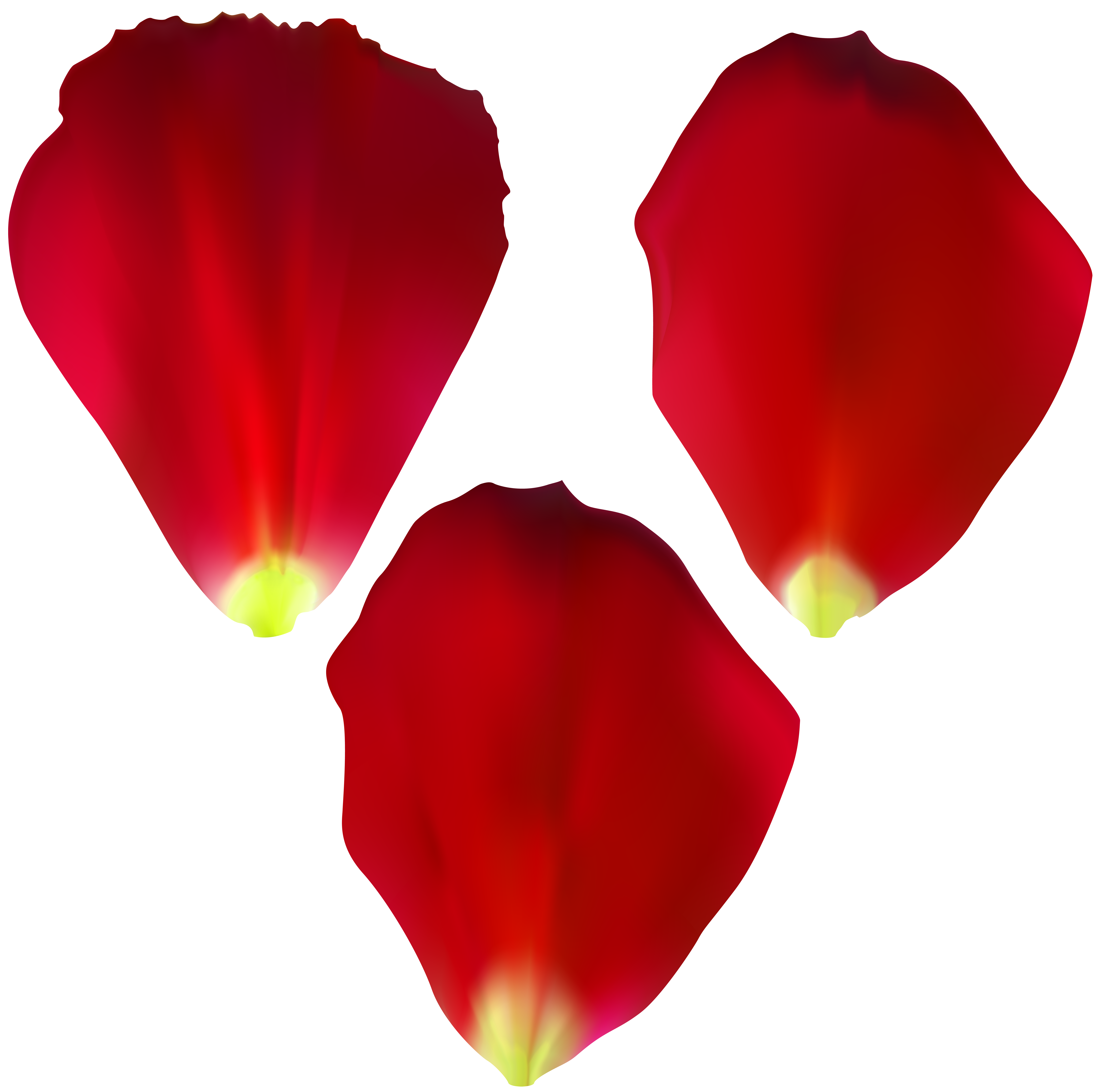 8000x7936 Rose Computer Icons Painting Clip Art