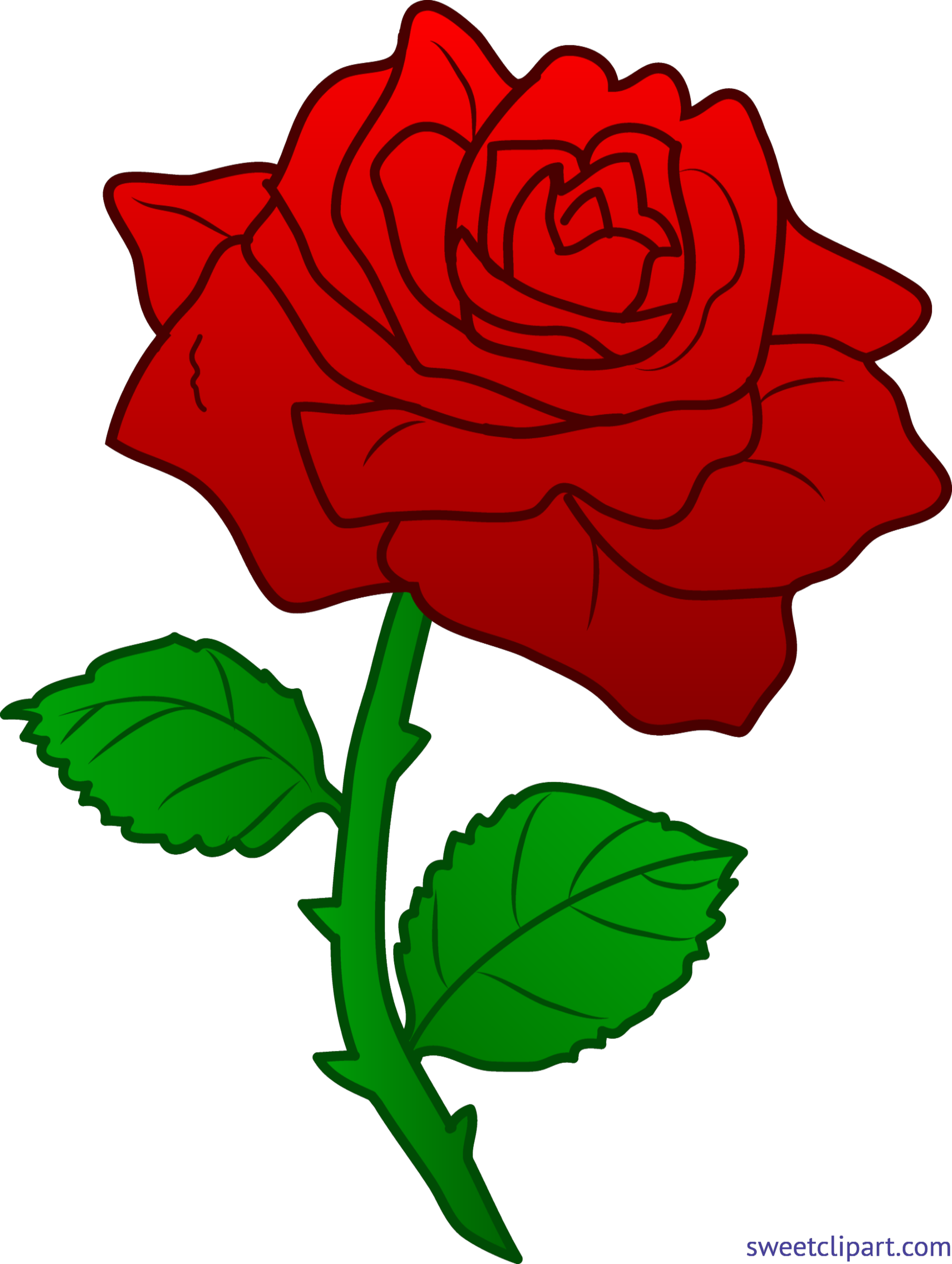 4481x5947 Rose Red 3 Clip Art