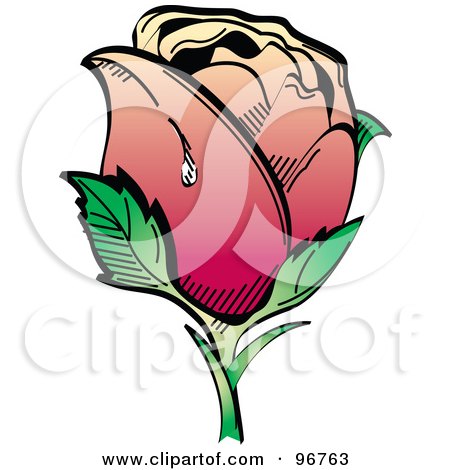 450x470 Royalty Free (Rf) Rose Tattoo Clipart, Illustrations, Vector