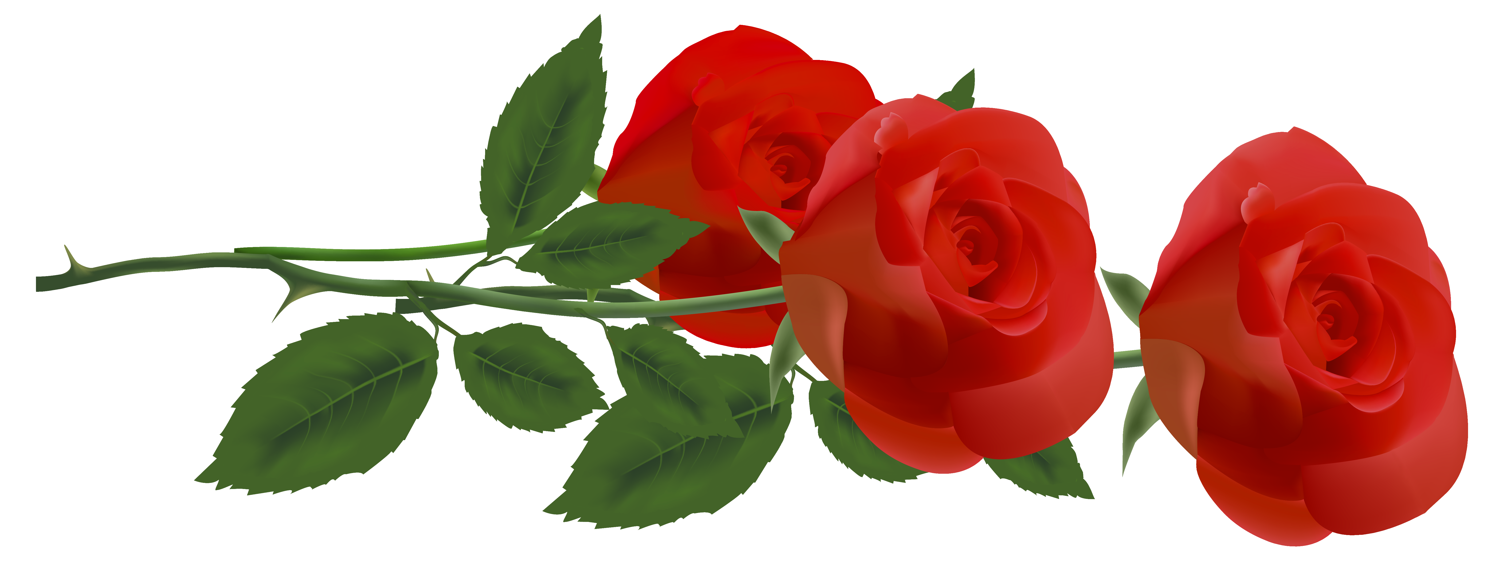 6399x2464 Top 75 Roses Clip Art