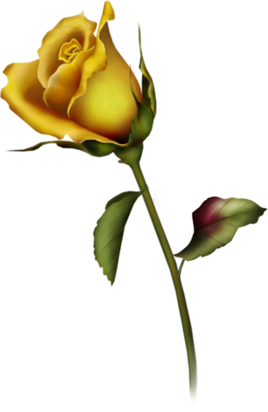 390x600 Yellow Rose Bud Clip Art Gallery Free Clipart Roses Png