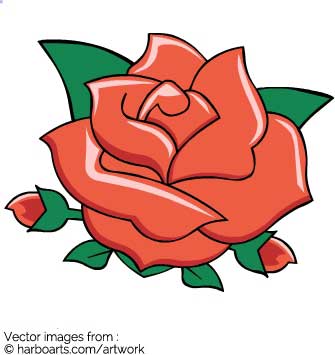 335x355 Download Rose Tattoo