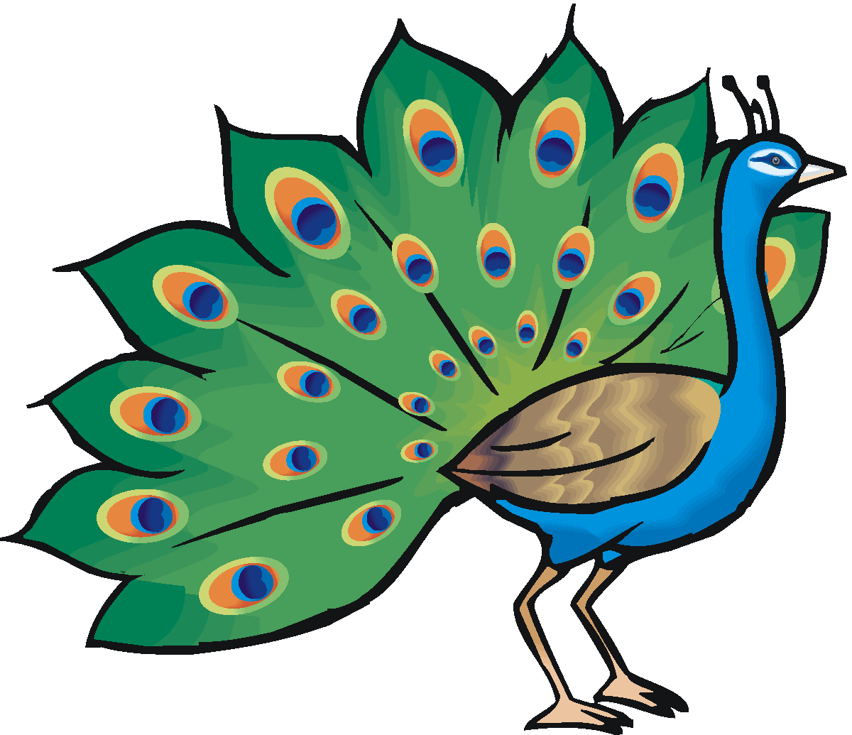 1200x1035 Free Peacock Clipart Animal Planet Peacock
