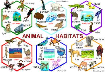 366x250 Clipart Of Animal Homes