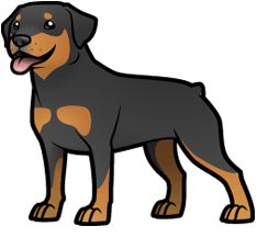 234x227 Rottweiler With Tail (Undocked) Vintage Flower Design