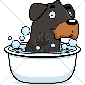 325x325 Rottie Images Gl Stock Images