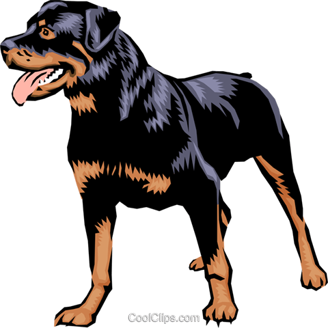 480x480 Rottweiler Royalty Free Vector Clip Art Illustration Anim0395