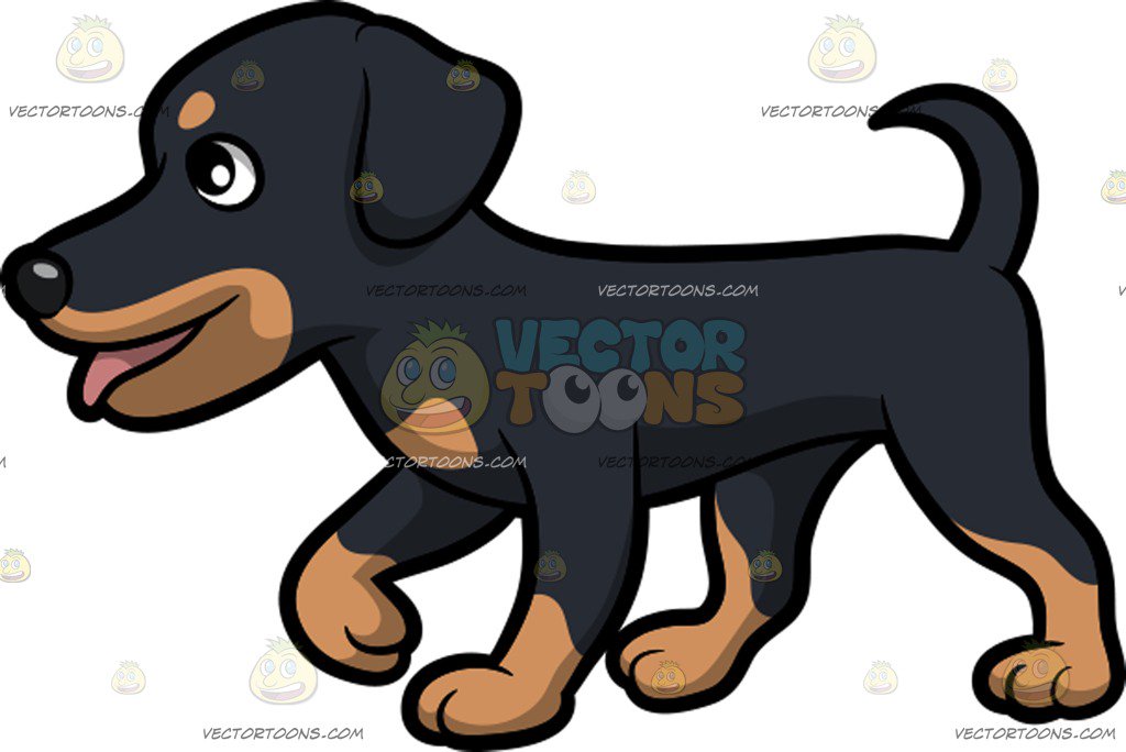 1024x684 A Happy Rottweiler Taking A Stroll Cartoon Clipart Vector Toons