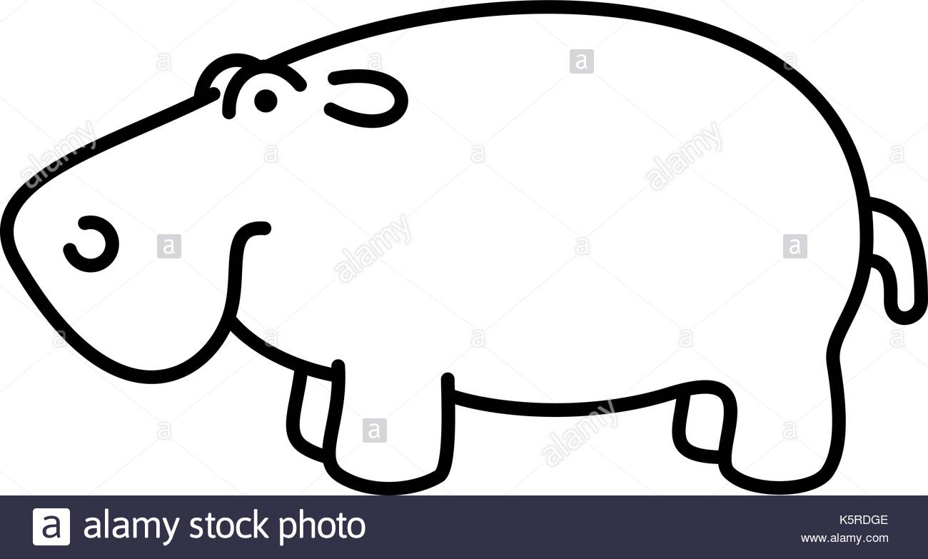 1300x783 Hippo Baby Black And White Stock Photos Amp Images