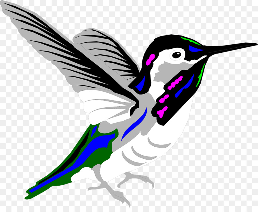 900x740 Hummingbird Animation Clip Art