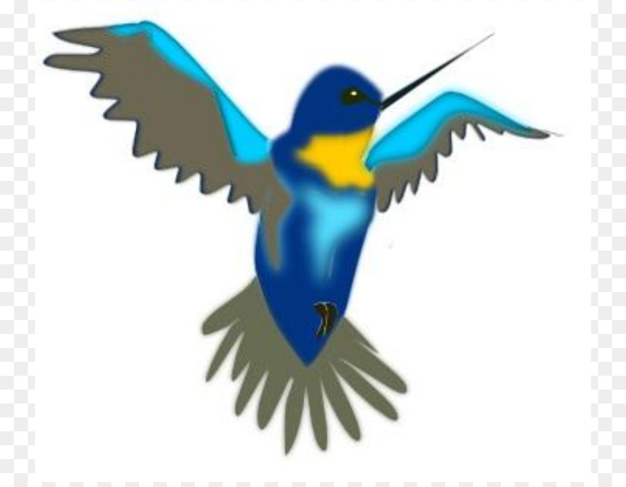 900x700 Hummingbird Cartoon Clip Art