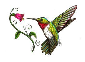 Ruby Throated Hummingbird Clipart at GetDrawings | Free download