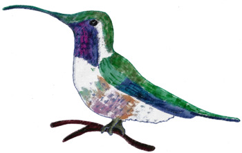 350x221 Hummingbird Clip Art Semi Realistic By Gramma Elliott