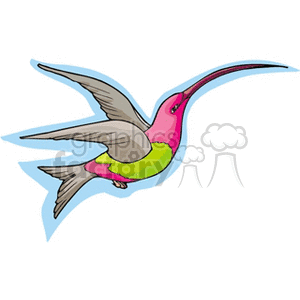 300x300 Royalty Free Pink And Green Humming Bird 130464 Vector Clip Art