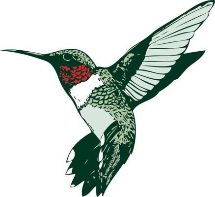 438x400 Hummingbird Clip Art Hummingbird Clipart Ru Throated Humminhbirds