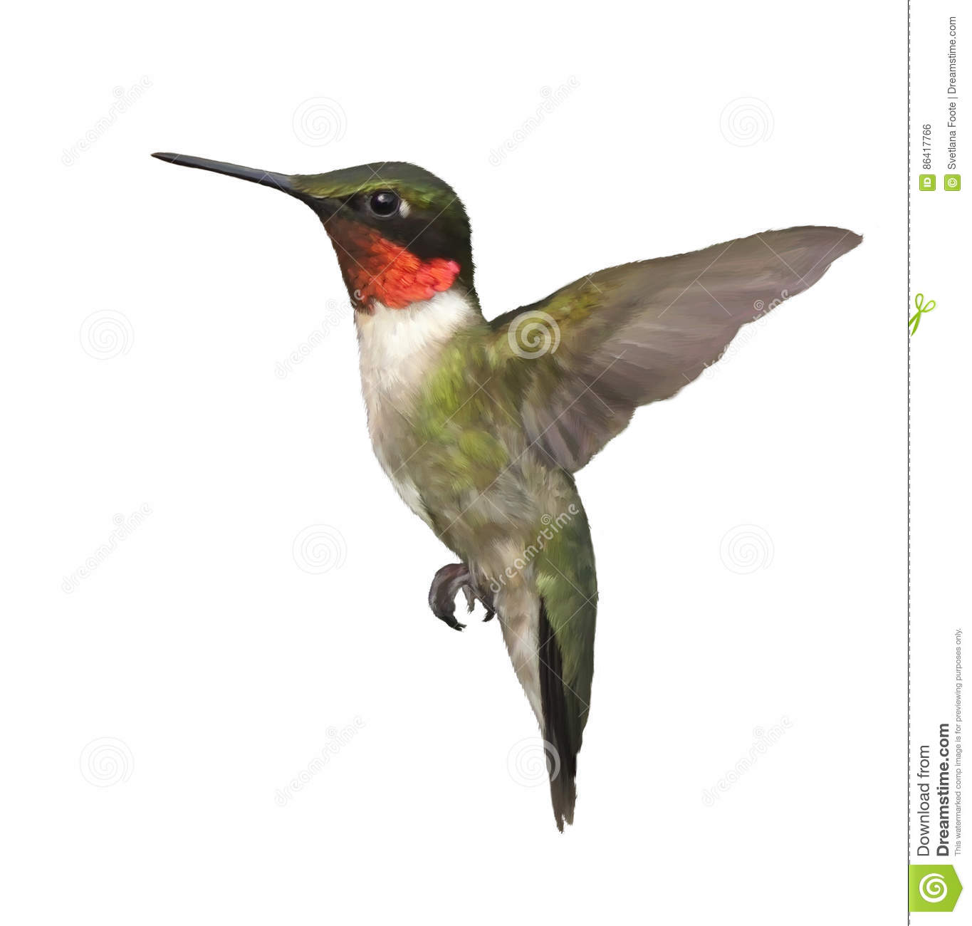 1365x1300 Collection Of Ruby Throated Hummingbird Clipart High Quality