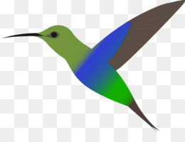 260x200 Broad Tailed Hummingbird Ruby Throated Hummingbird Clip Art