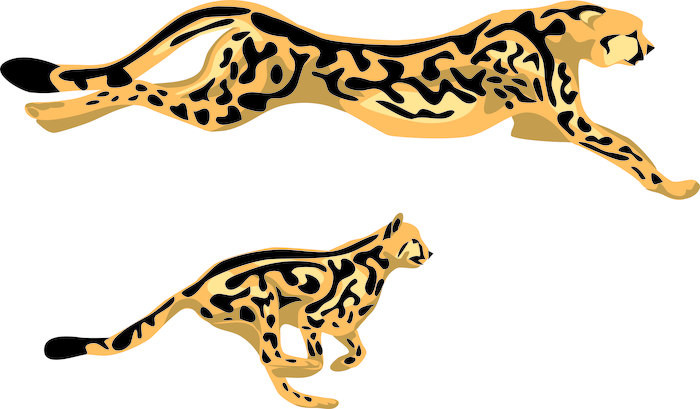 700x409 Running King Cheetah Wall Mural We Live To Change