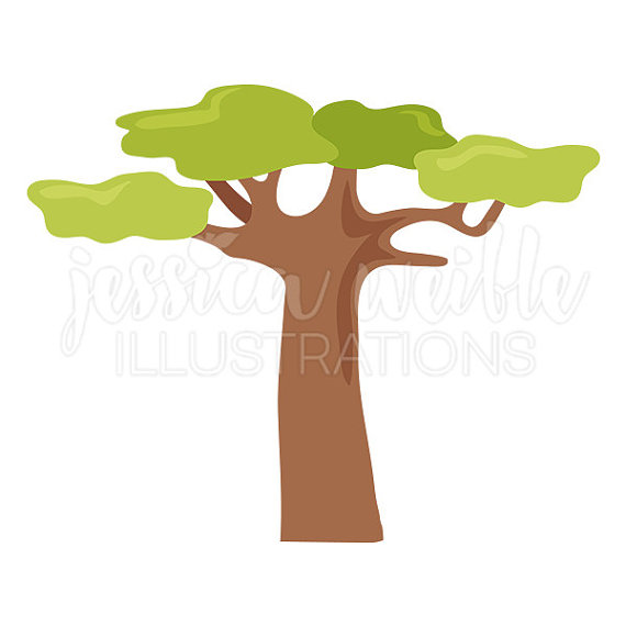 570x570 Clip Art Baobab Tree Clipart