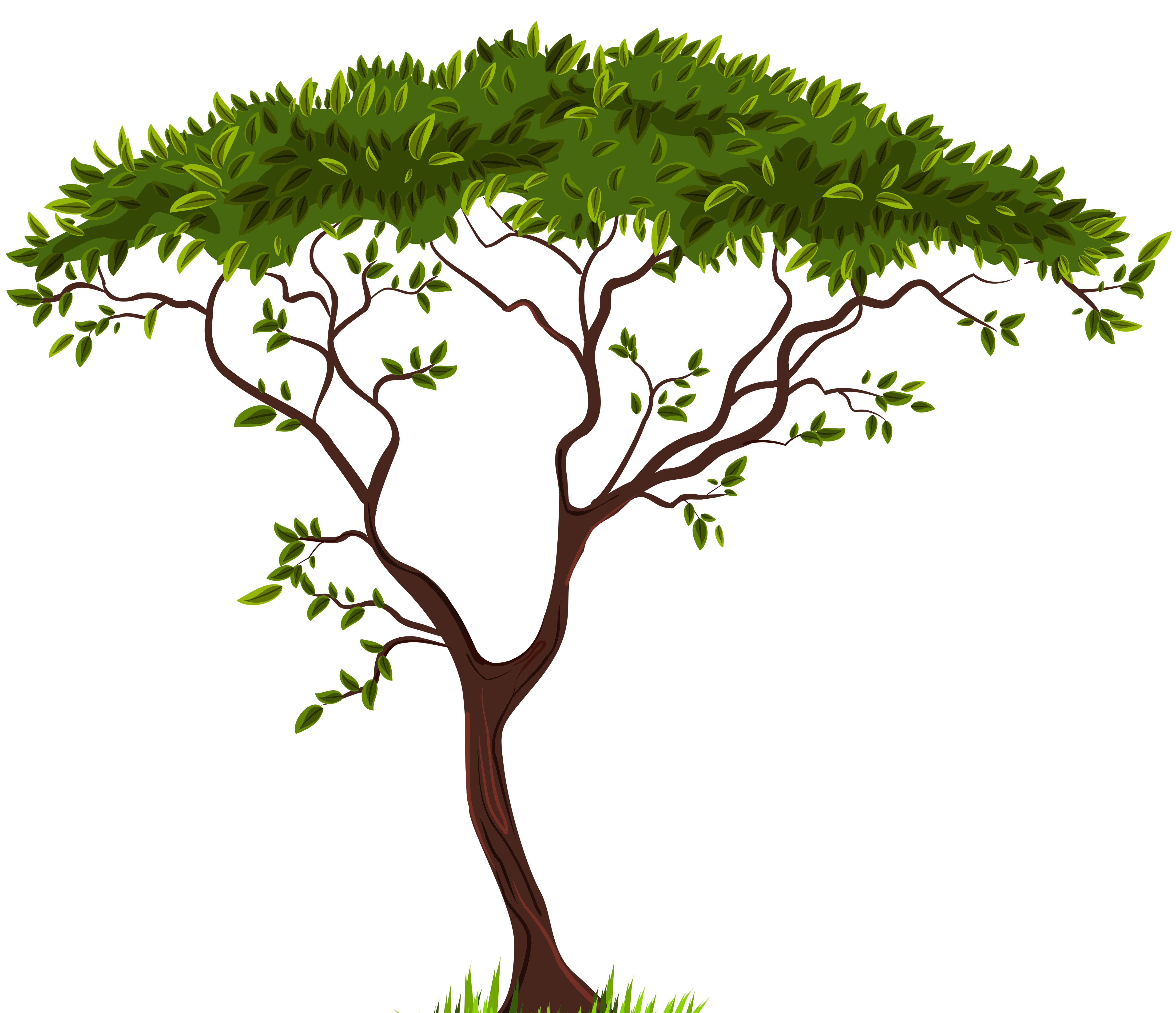 5000x4307 Exotic Tree Png Clip Art