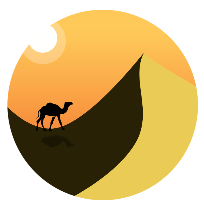 712x768 Sahara Desert Trip