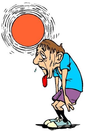 298x461 What Is Ministry Like In The Sahara Desert