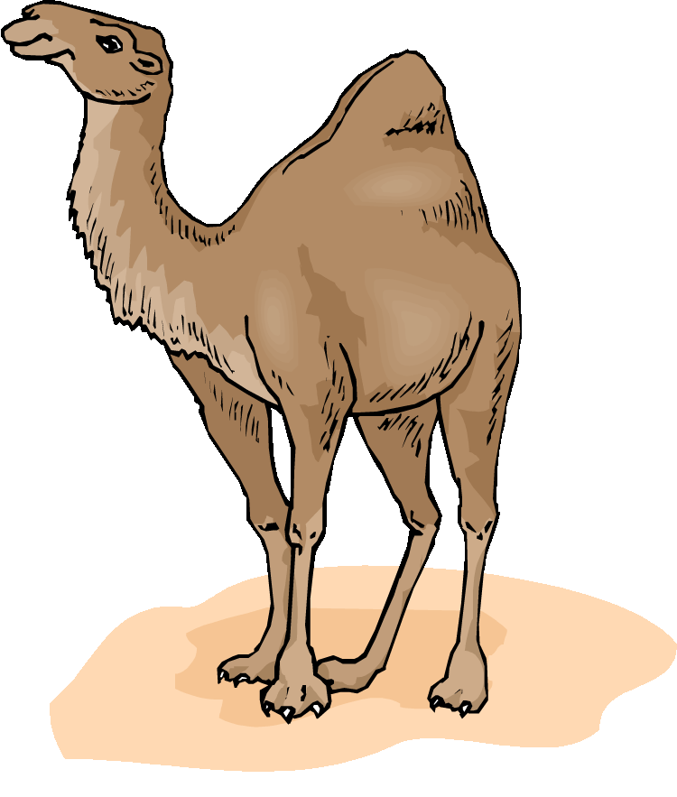 750x883 Arab Clipart Desert Camel