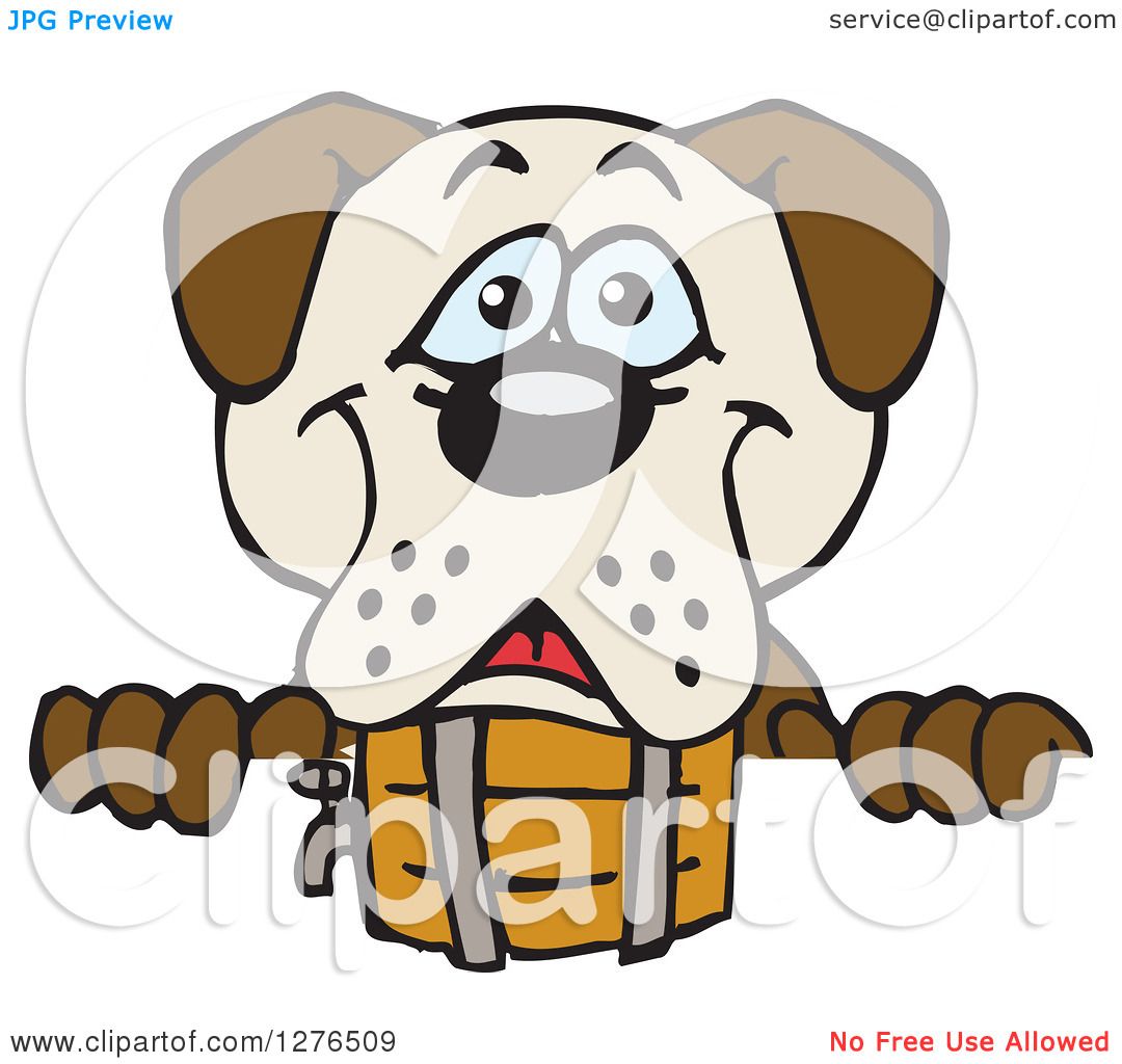 1080x1024 Clipart Of A Happy St Bernard Dog Peeking Over A Sign