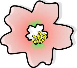 300x263 Sakura Clip Art Download