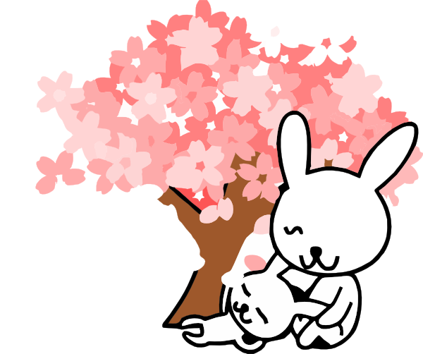 600x502 Sakura Clipart Cute