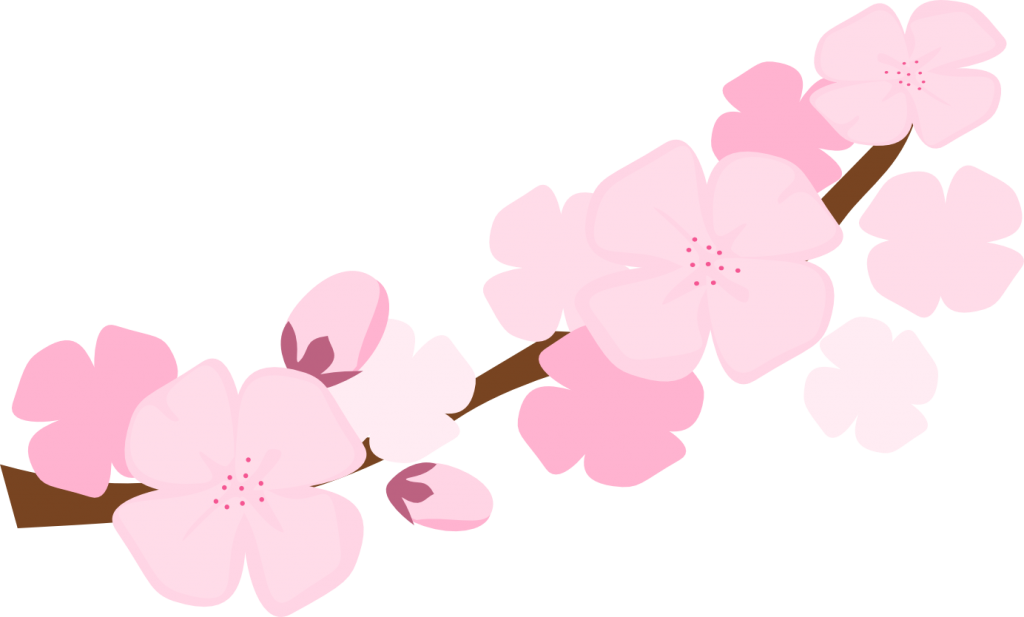 1024x617 Top 79 Sakura Flower Clipart