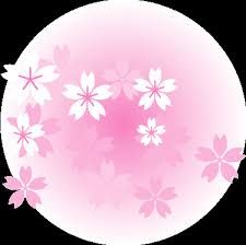 225x224 Pre Dopyt Sakura Clip Art Orig