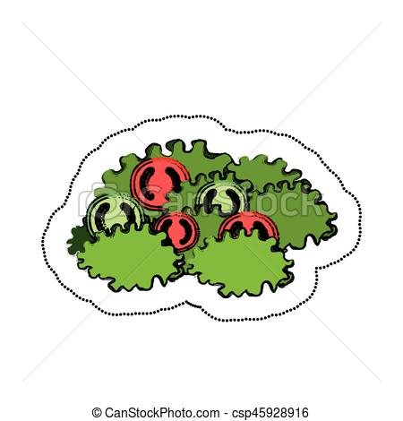 450x470 Letuce And Tomato Salad Vector Illustration Design Vector Clip Art
