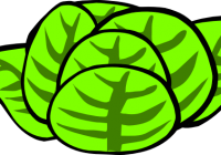 200x140 Salad Clipart Salad Clip Art