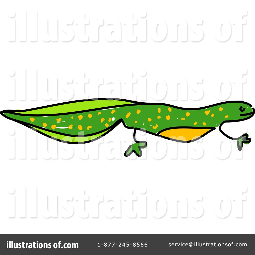 1024x1024 Newt Clipart Reptile Free Collection Download And Share Newt
