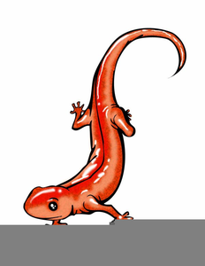 232x300 Salamander Cartoon Clipart Free Images