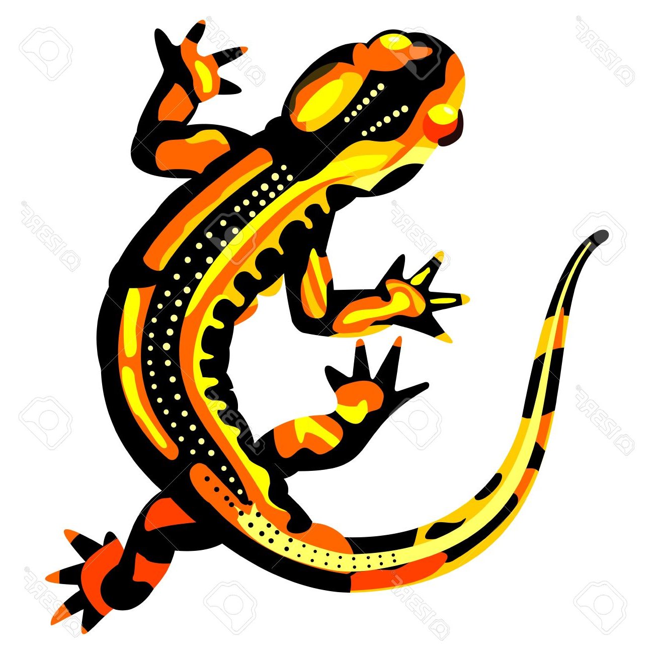 1300x1300 Salamander Clipart Gecko Many Interesting Cliparts