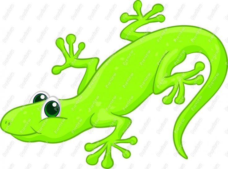 736x545 Salamander Clipart Cartoon