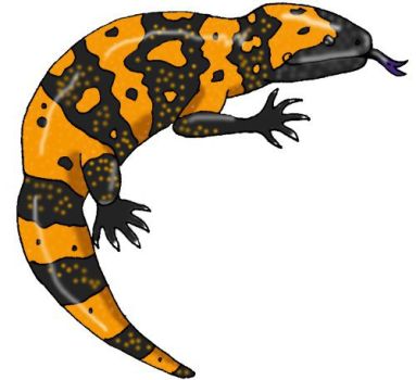 383x350 Salamander Clipart Gila Monster