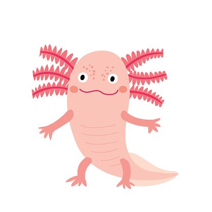 416x416 Standing Axolotl Mexican Salamander Cartoon Premium Clipart