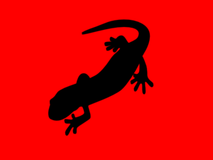 300x225 Team Salamander! Clip Art