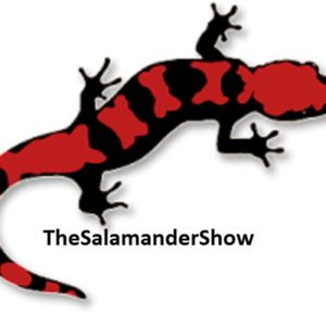 300x300 Twitch Clipart Image Group