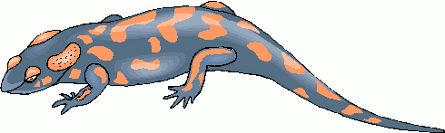 490x147 Deluxe Salamander Clipart Fire