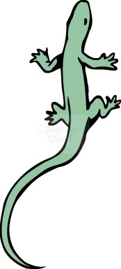 174x385 Salamander Clipart 2 174x385 Clipart Panda
